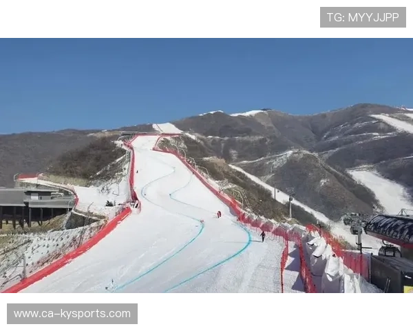 高山滑雪赛事引入环保赛道维护方案，高山滑雪竞技项目
